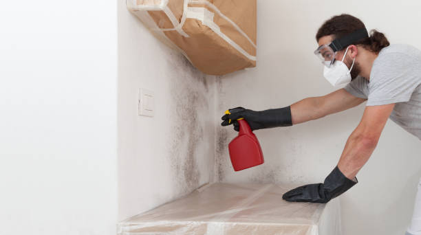 Professional Attic Mold Remediation technician working in Saxton, PA