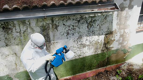 Top rated local Attic Mold Remediation specialists in Saxton, PA